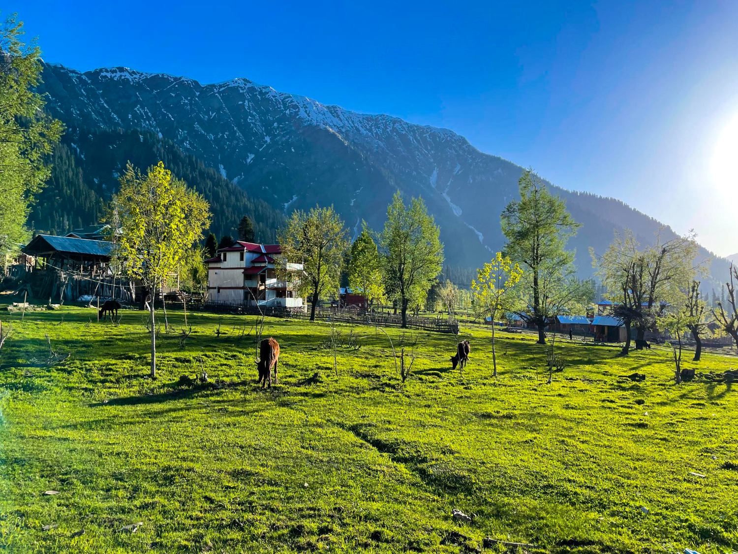 Kashmir Tour - Mannat Travel